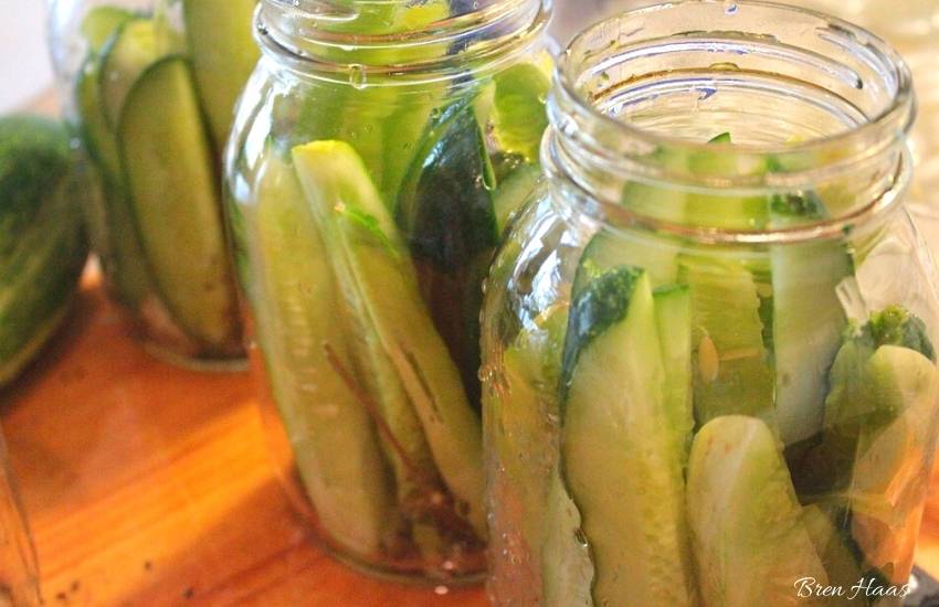 Pickling Made Easy with Dad’s Classic Recipe