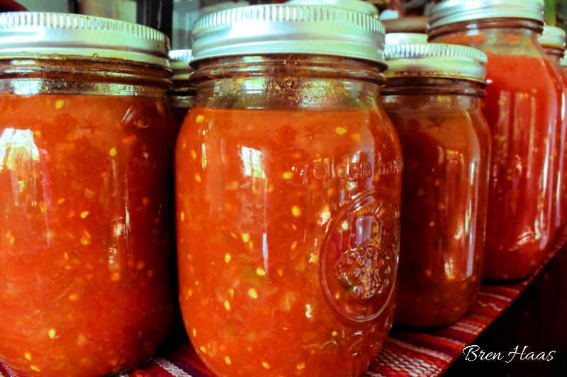 Canning Tomatoes: Complete the Circle