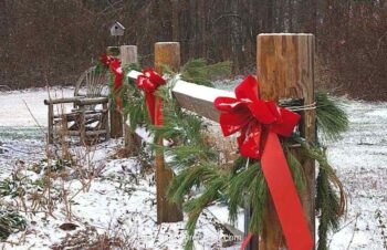 Handmade Red Bows in the Garden