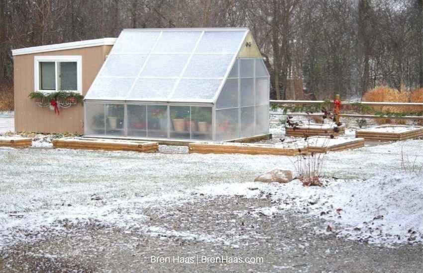 Greenhouse with Red Bows