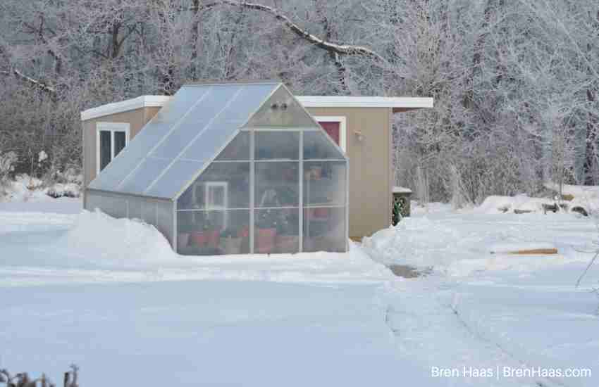 Northern LIghts Greenhouse