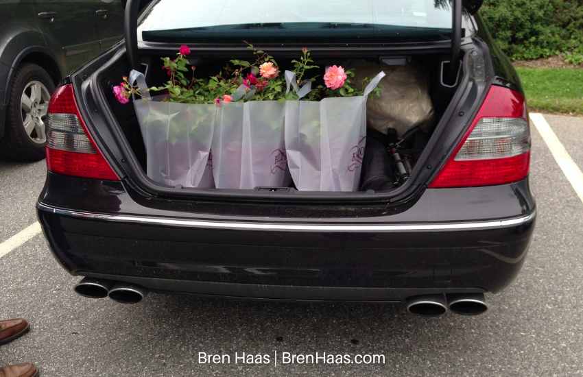 Trunk Full of Roses