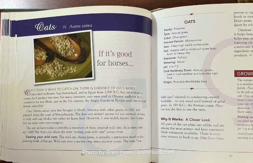 Book Plants Benefits Feature Oats