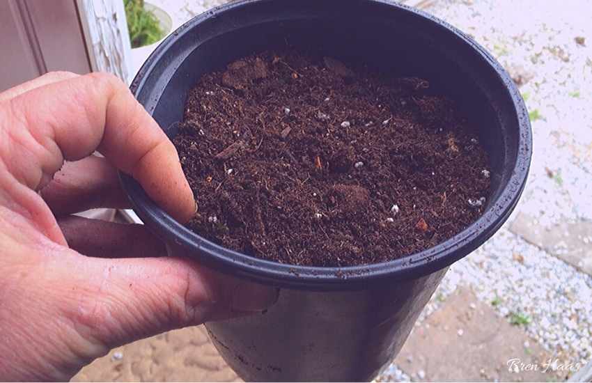 Potting SOil