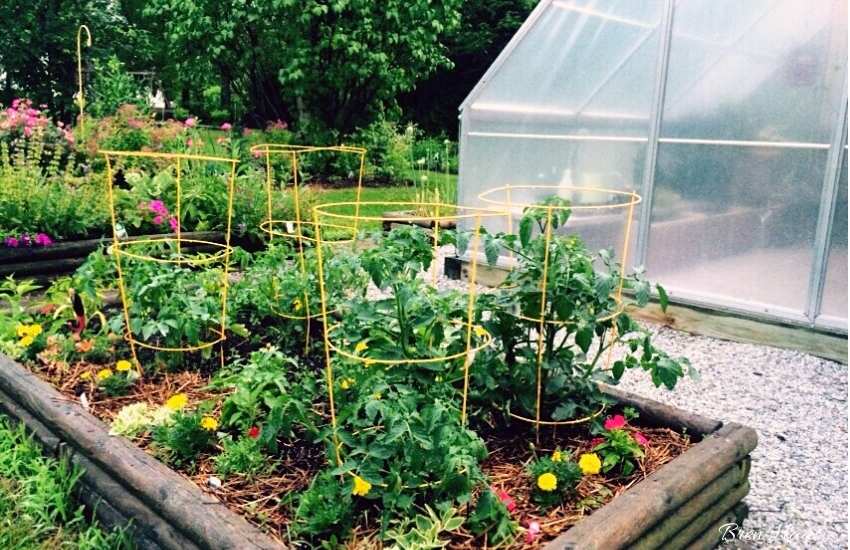 greenhouse raised bed