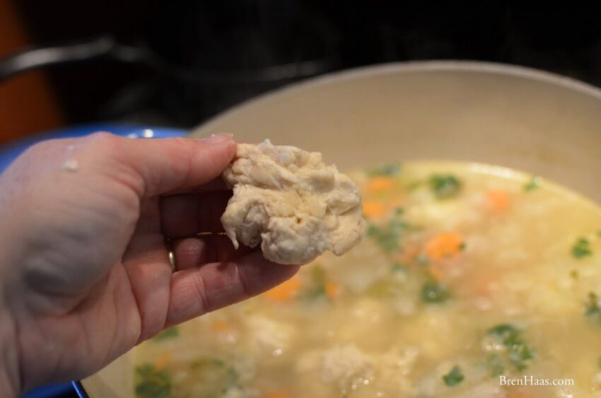 Easy Homemade Chicken and Dumpling Recipe