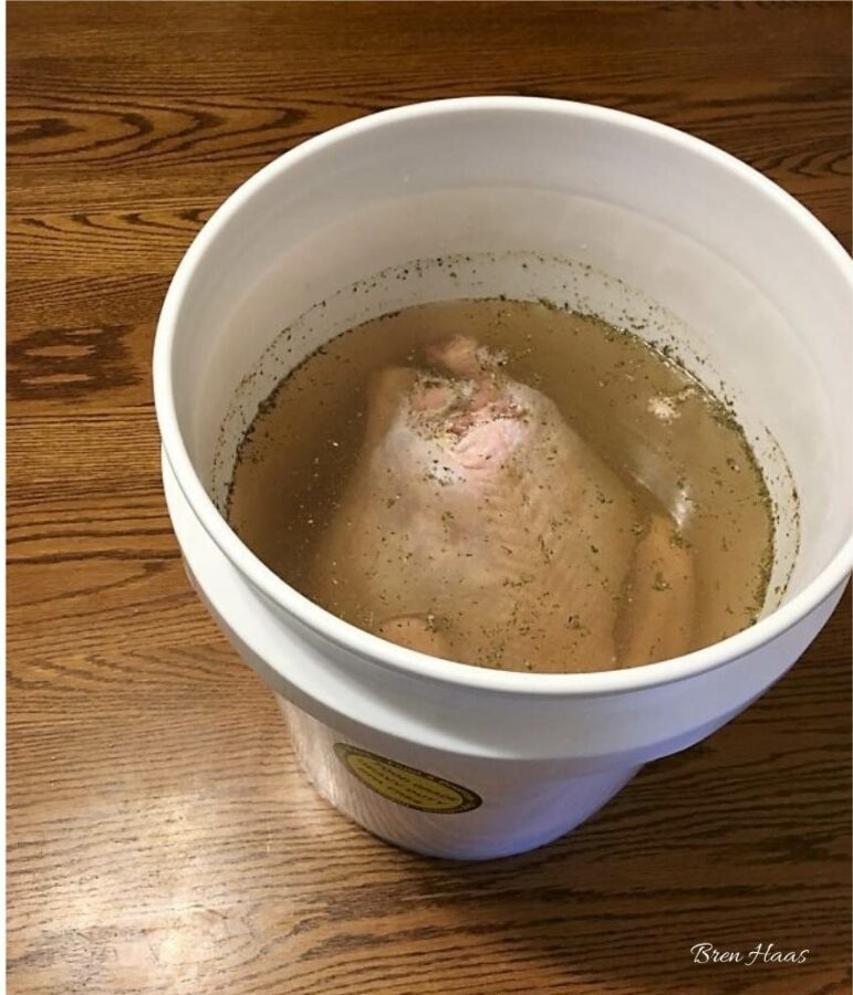 How to Brine a Thanksgiving Turkey Creative Living & Growing with