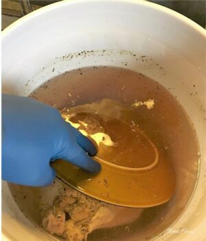 Plate in Brine Bucket