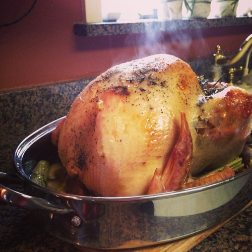 How to Brine a Thanksgiving Turkey