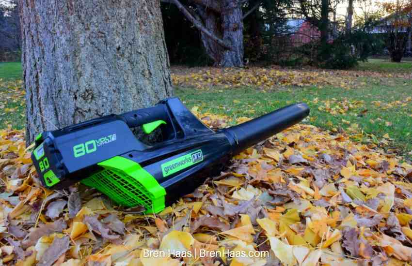 Greenworks Pro 80V Leaf Blower