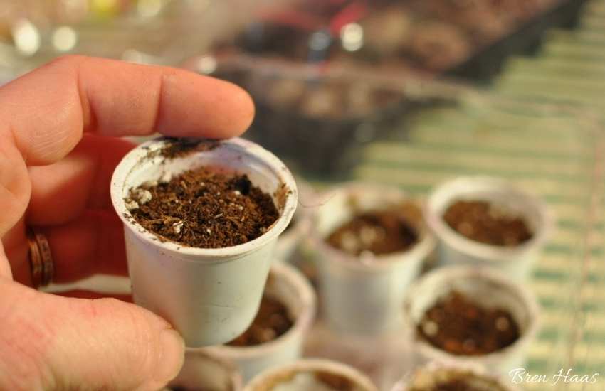 k-cup fit great in recycled salad containers