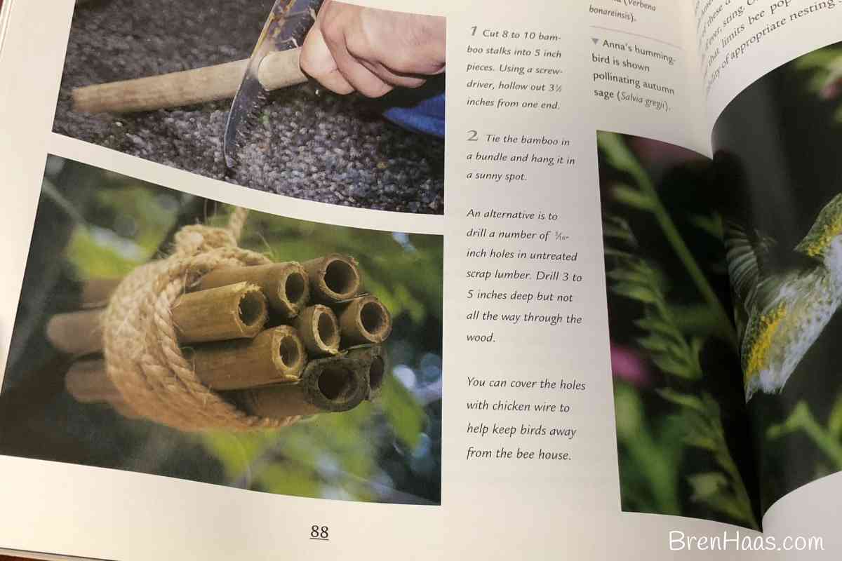 bee house photo in book