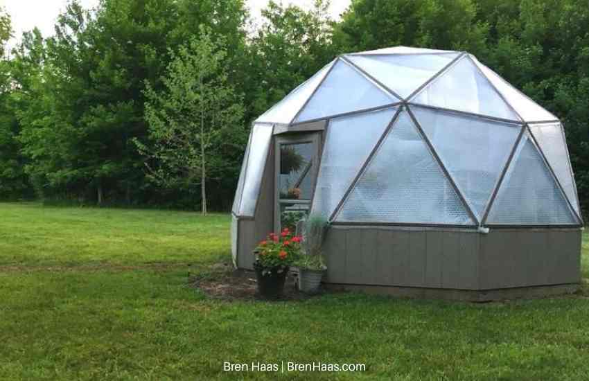 First June In Dome Greenhouse (geodesic bio dome)