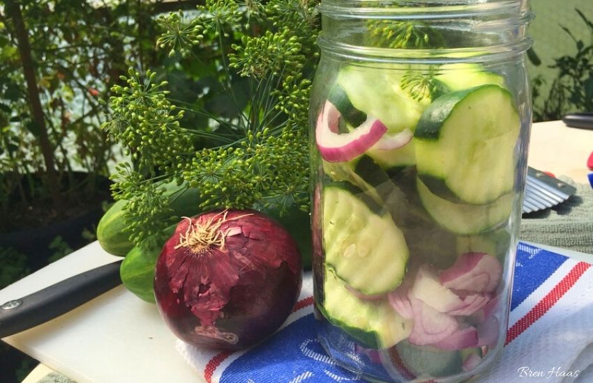 cucumber pickle Recipe