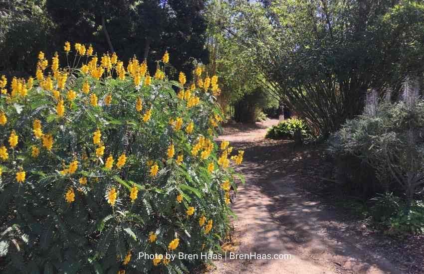 Walk in the San Diego Garden