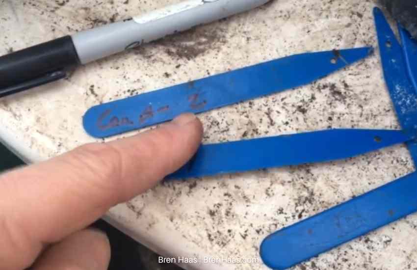 tags for the new bulbs in dome