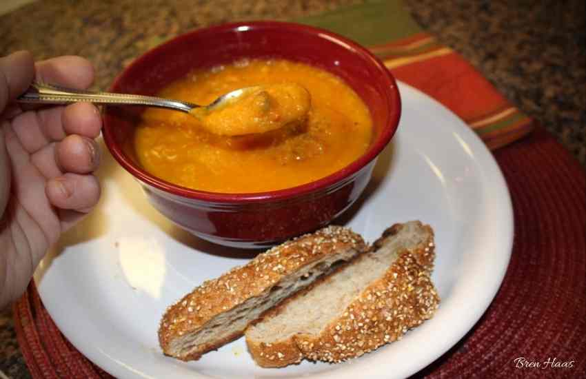 Vegan Carrots, Turnips, Potatoes Creamy Cold Season Soup