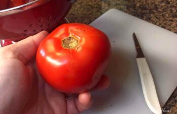 random tomatoes