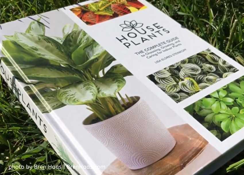 House Plants : the complete guide book review