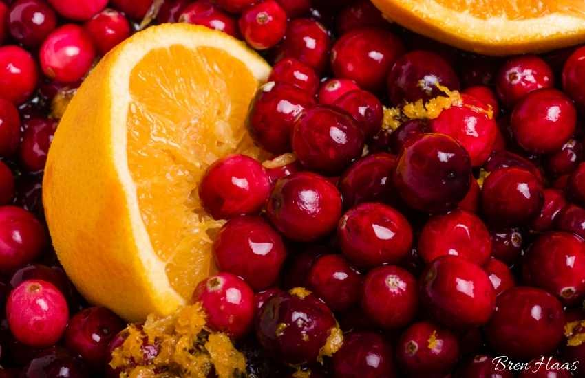 Fresh Cranberry Orange Relish Recipe