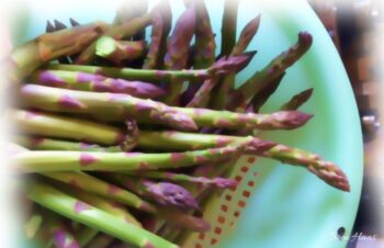 asparagus fresh in blue bowl