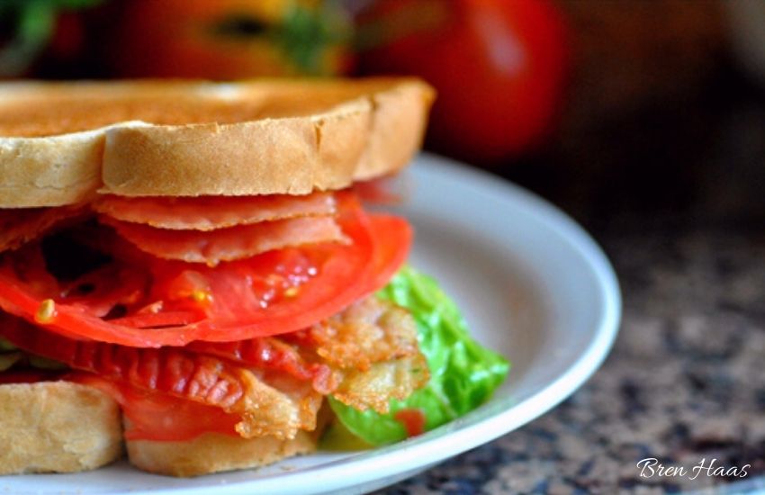 Tomato Sandwich 101