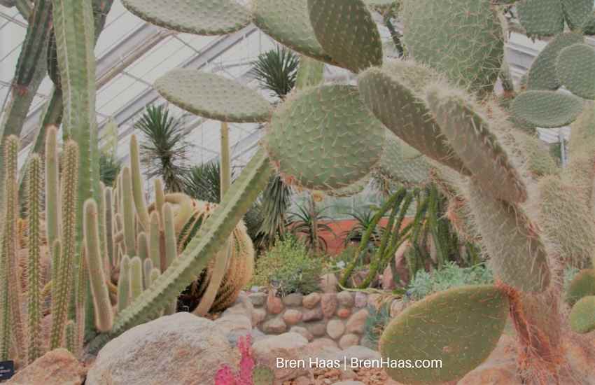 Germany Greenhouse Botanical Garden