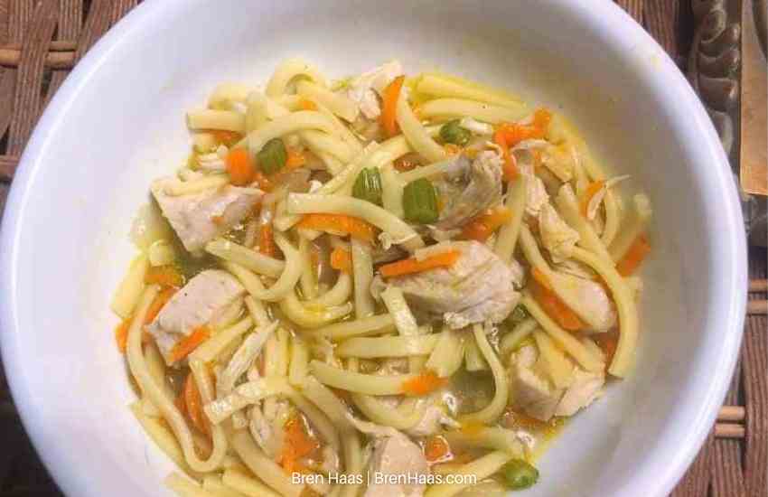 Chicken Noodle Soup From Scratch
