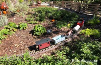 train in the garden
