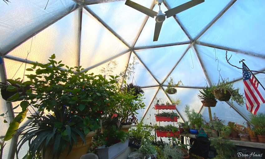 Building The 20 Foot Geodesic Bio Dome