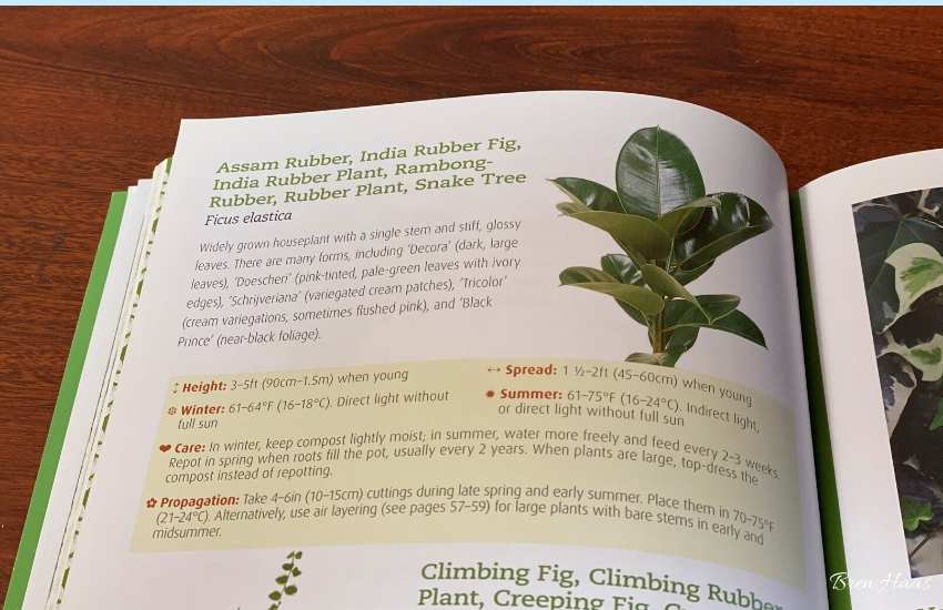 Page from Houseplant Handbook