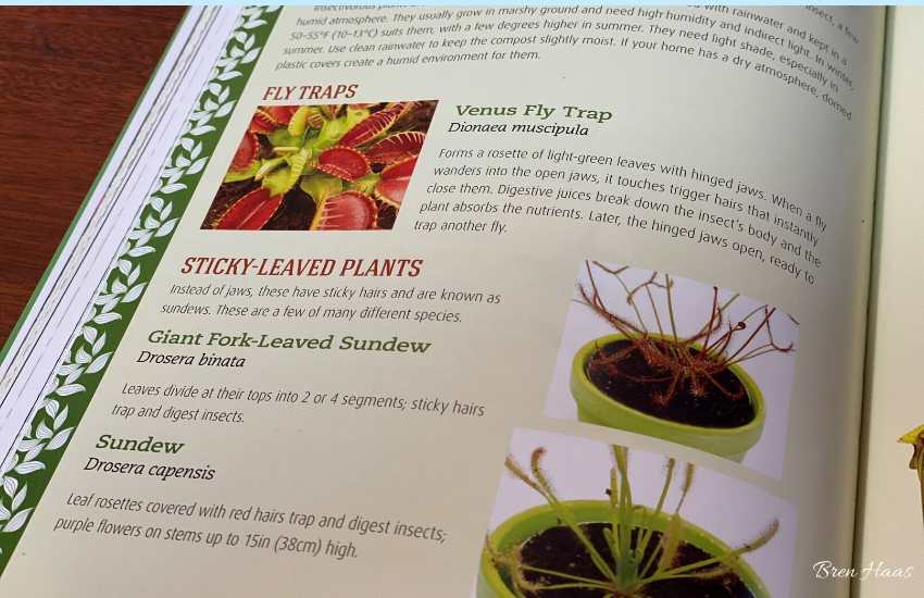 A page from Houseplant Handbook