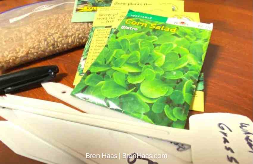 Planting seeds in Dome