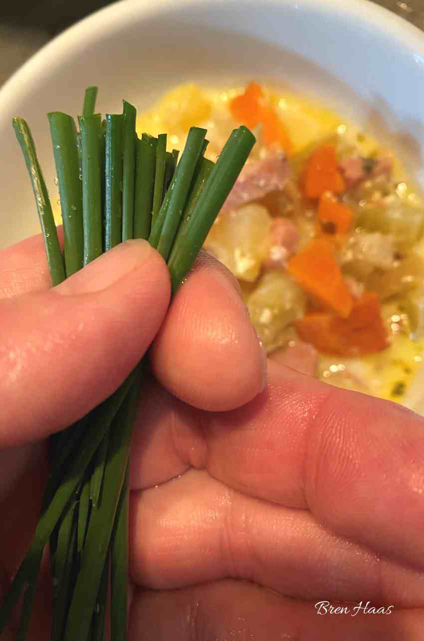 cut chives for soup