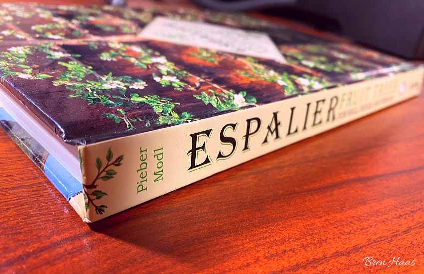 hard cover book | espalier