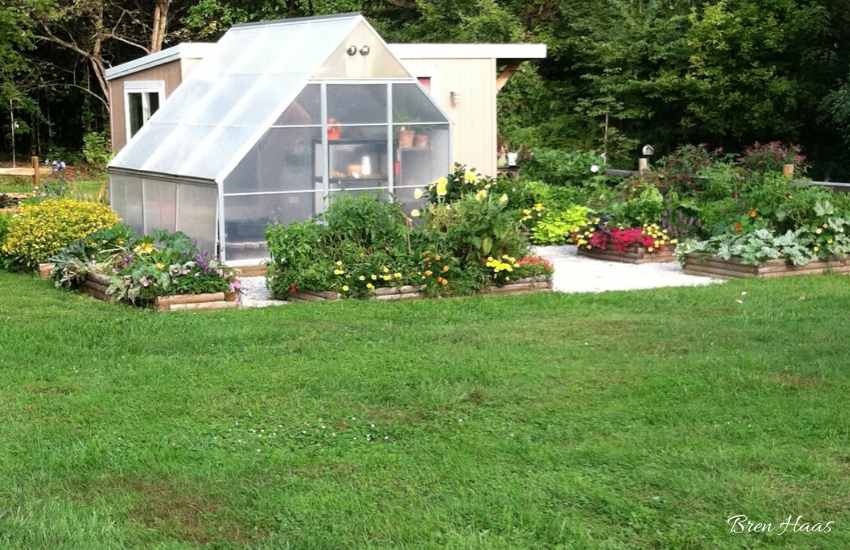 greenhouse surrounded by raisedbeds
