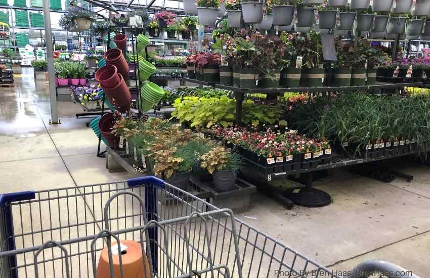 Lowes in Findlay Ohio