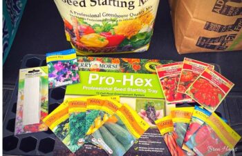 Seed Starting Trip | Pro Hex