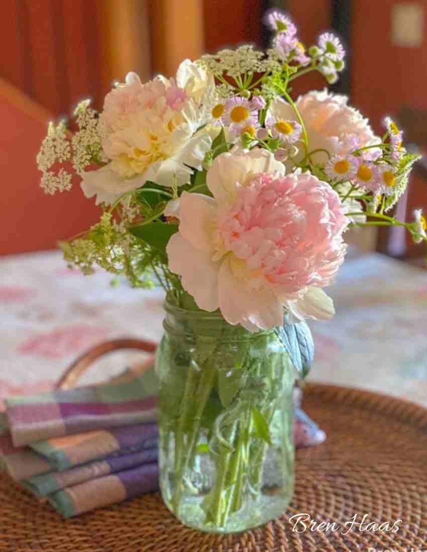 Peonies and Daisies