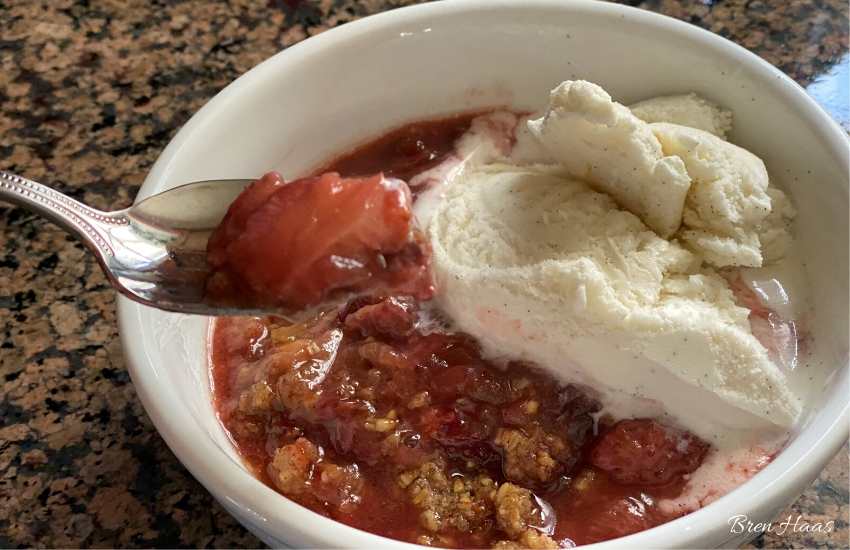 Rhubarb Strawberry Ice Cream Served
