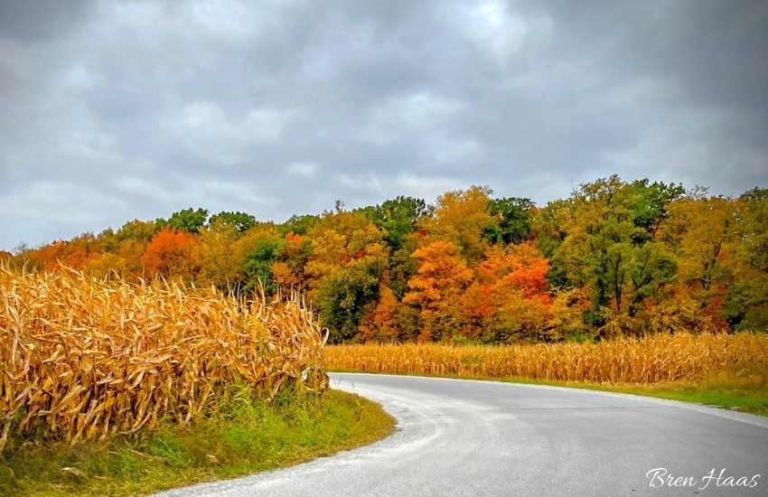 Early Autumn Drive in Northwest Ohio