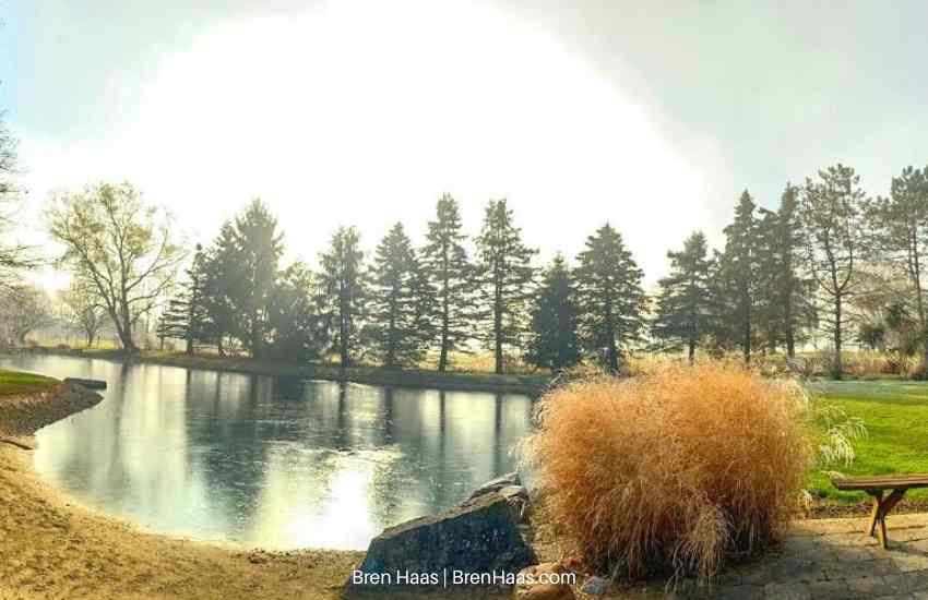 Foggy Capture with Camera on Pond