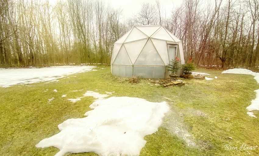 Dome Greenhouse Update on February Winter Warm Up