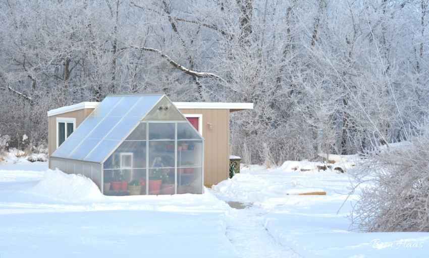 Bren's Greenhouse in the Snow