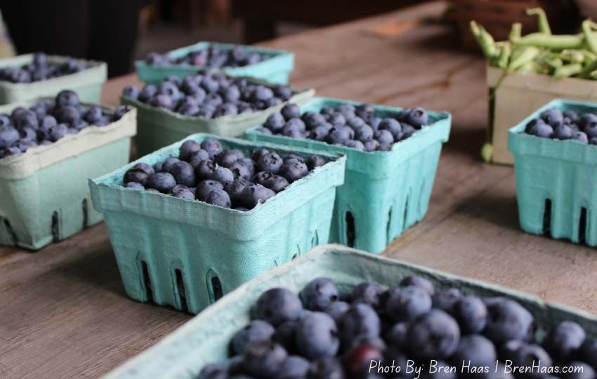 Blueberries in the Market