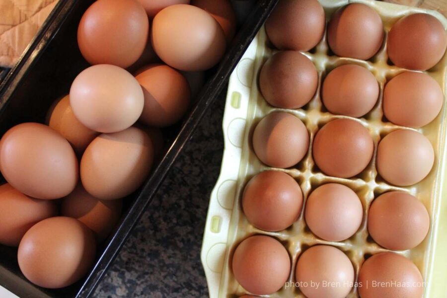 Beautiful Brown Eggs 