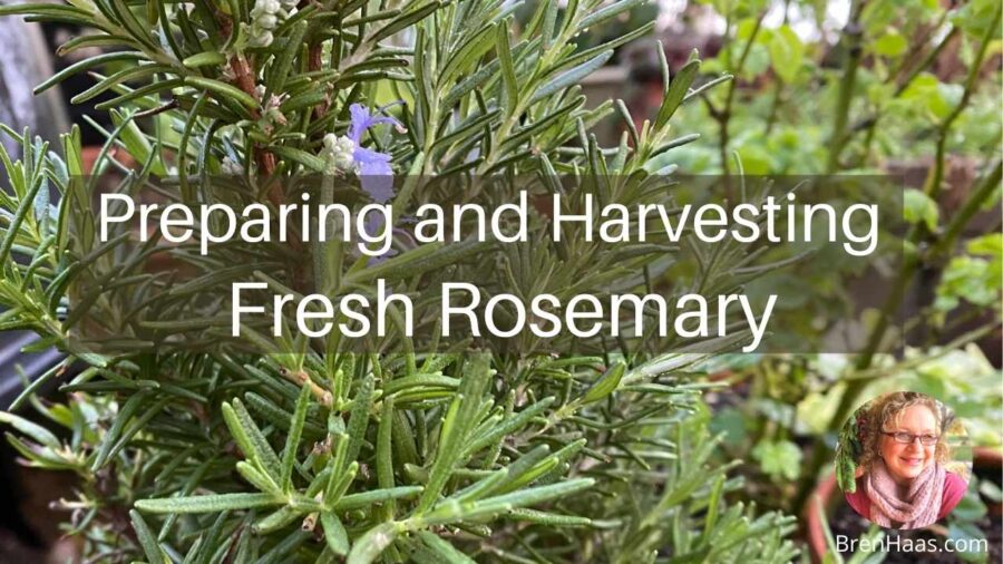 harvestingpreprosemary Creative Living with Bren Haas