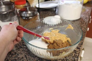 Cream First Ingredients with Hard Spoon