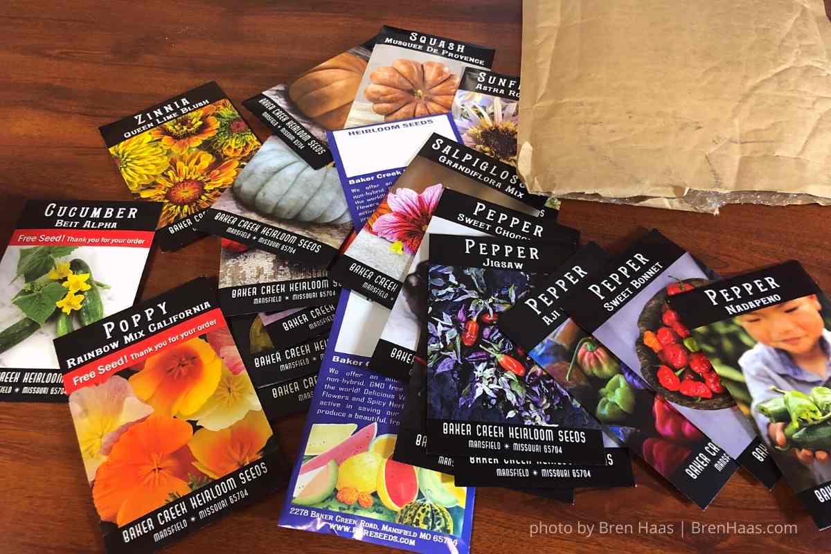 Rare Seeds Order Review 2022