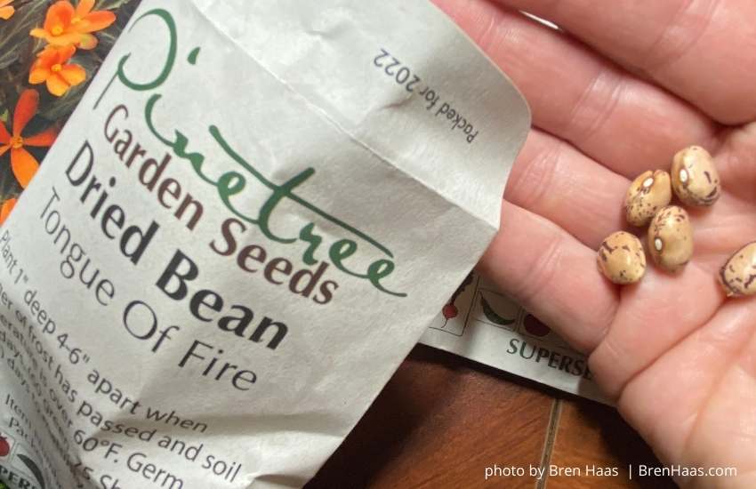 Healthy Seeds in Package